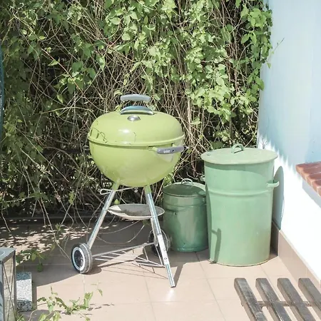 Am Scharbowsee K Mustin (Mecklenburg-Vorpommern)